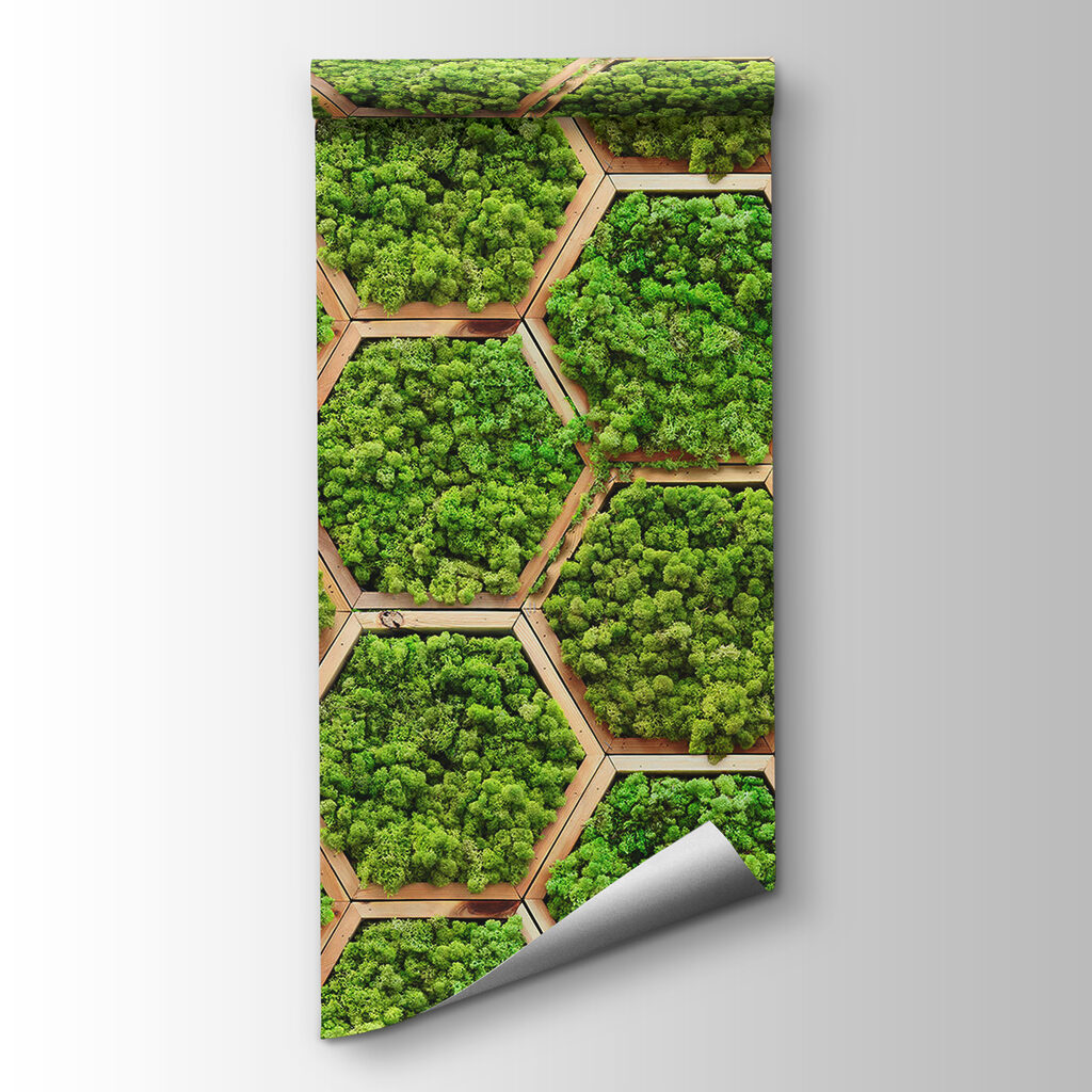 Hexagones de bois moussus — vue du produit