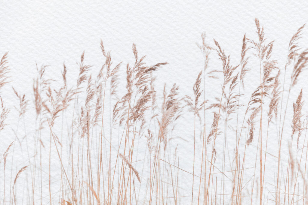 Herbes dans la brise — motif complet