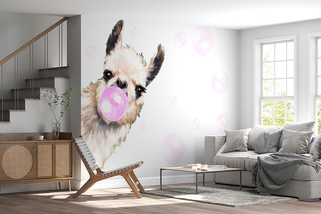 Lama au chewing-gum dans un intérieur