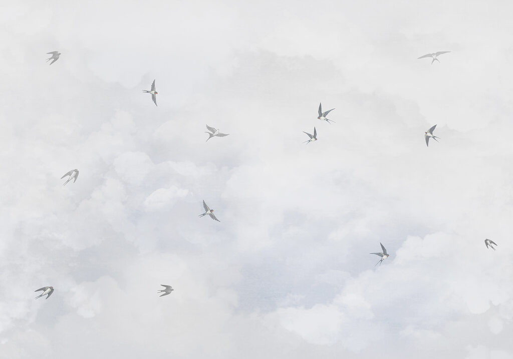 Oiseaux entre les nuages — motif complet