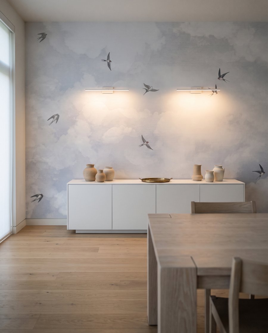 Oiseaux entre les nuages — intérieur 1