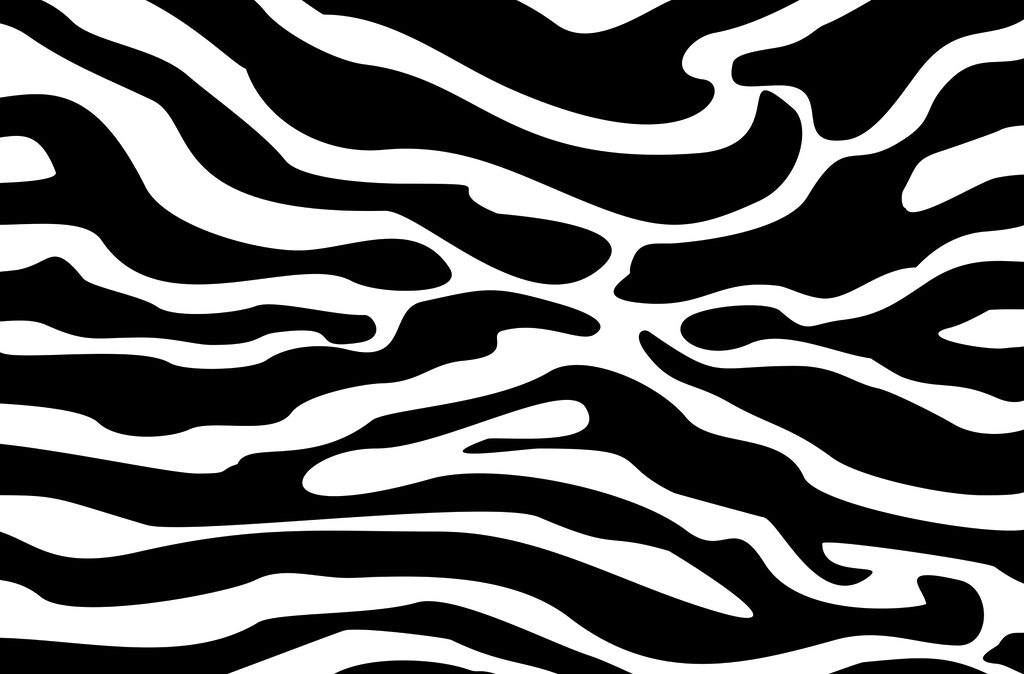 Zébrures noir et blanc — motif complet