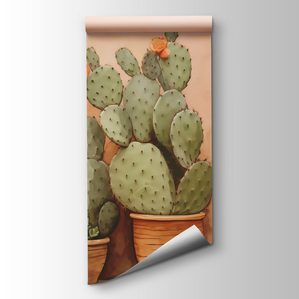 Cactus en pots — vue du produit