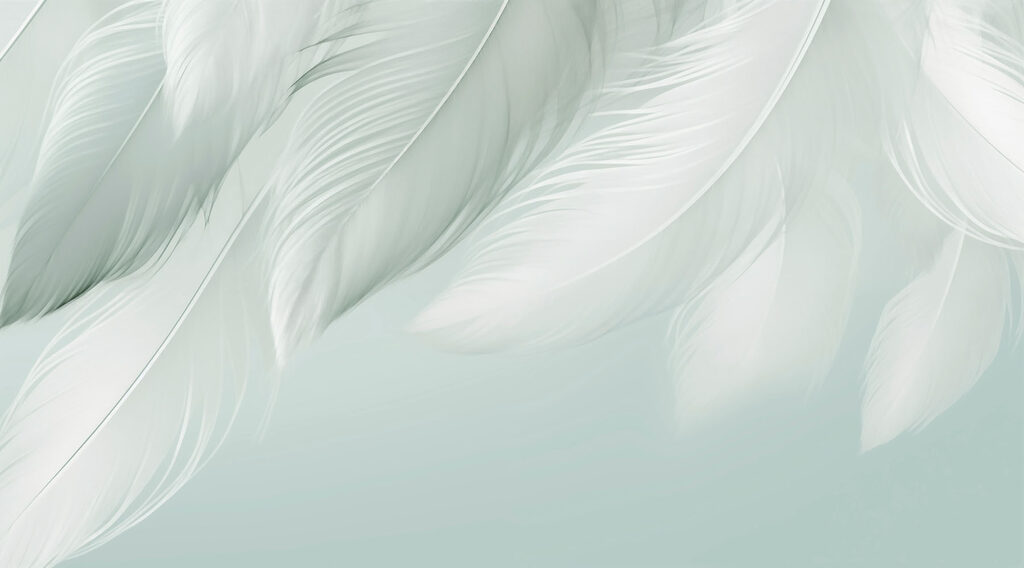 Cascade de plumes — motif complet
