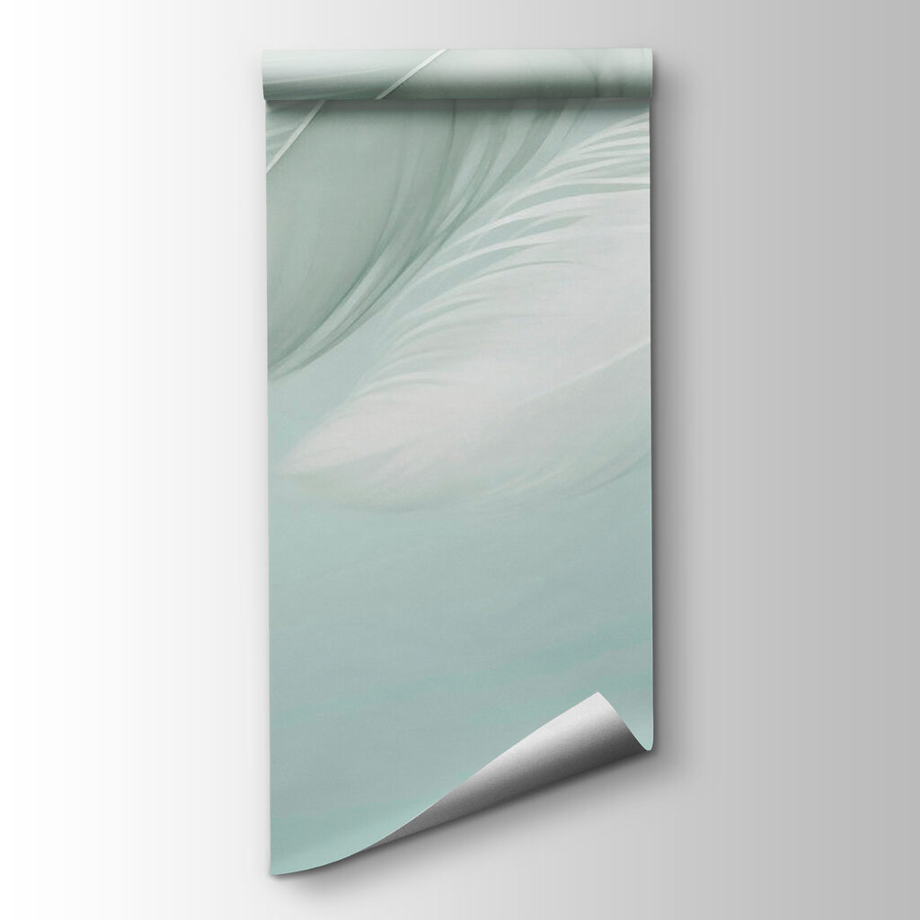 Cascade de plumes — vue du produit