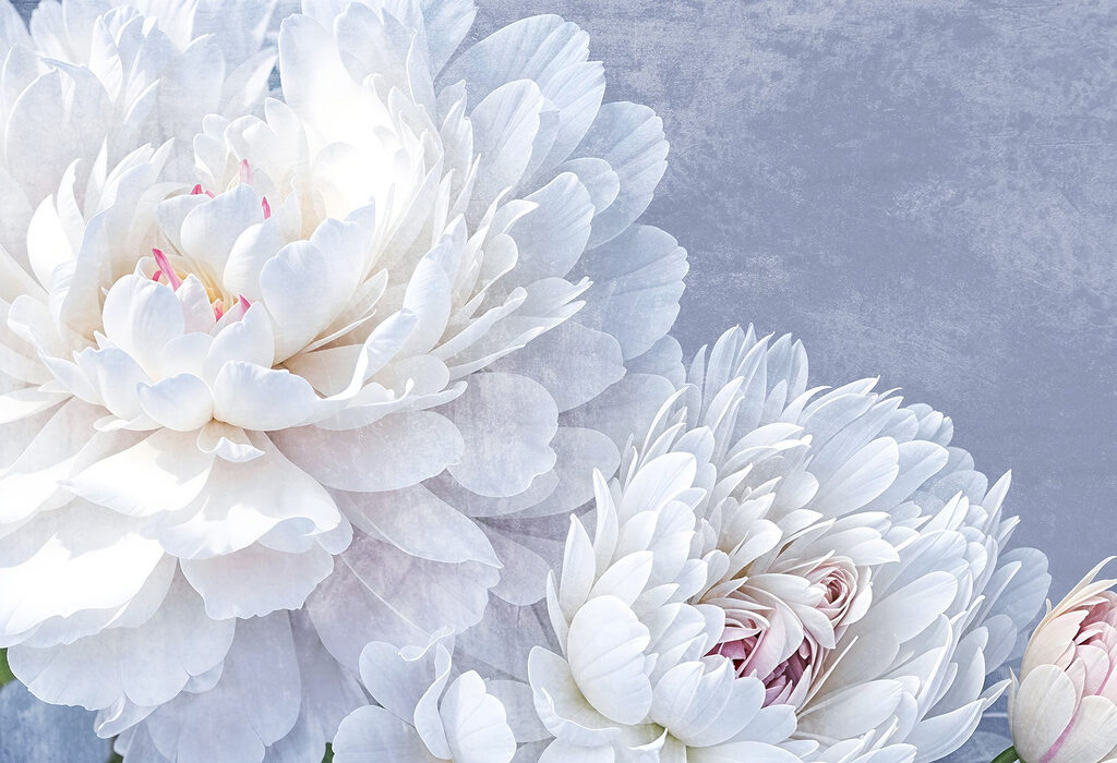 Duo de fleurs délicates — motif complet